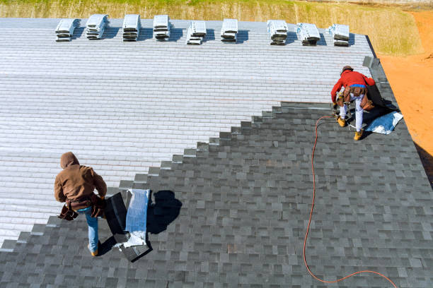 Best Metal Roofing Contractor  in Winfield, AL