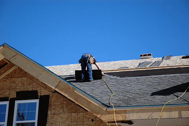 Best Storm Damage Roof Repair  in Winfield, AL